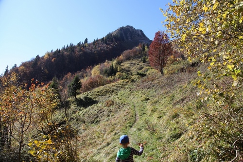 Rando au dessus d'Albertville  